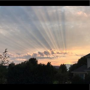 Meet your Posher, Krystal